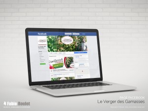 Webmarketing : page facebook